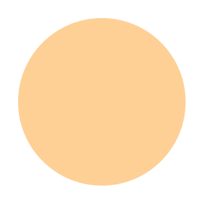 Liquid Face Foundation Flawless Finish - C4 WARM YELLOW