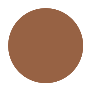 Liquid Face Foundation Flawless Finish - C10 WARM YELLOW