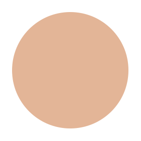 Liquid Face Foundation Flawless Finish - N5 COOL NEUTRAL