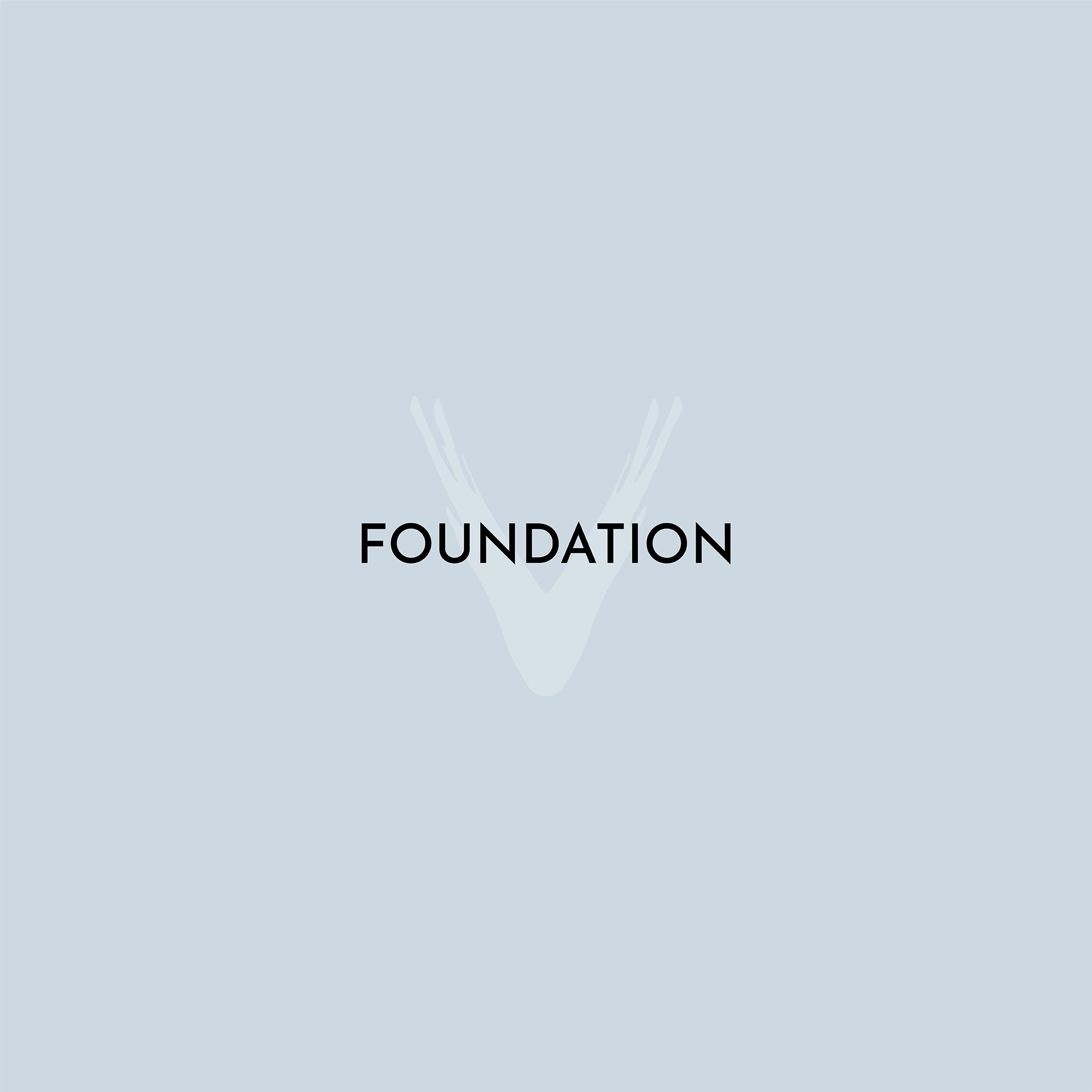 Foundation