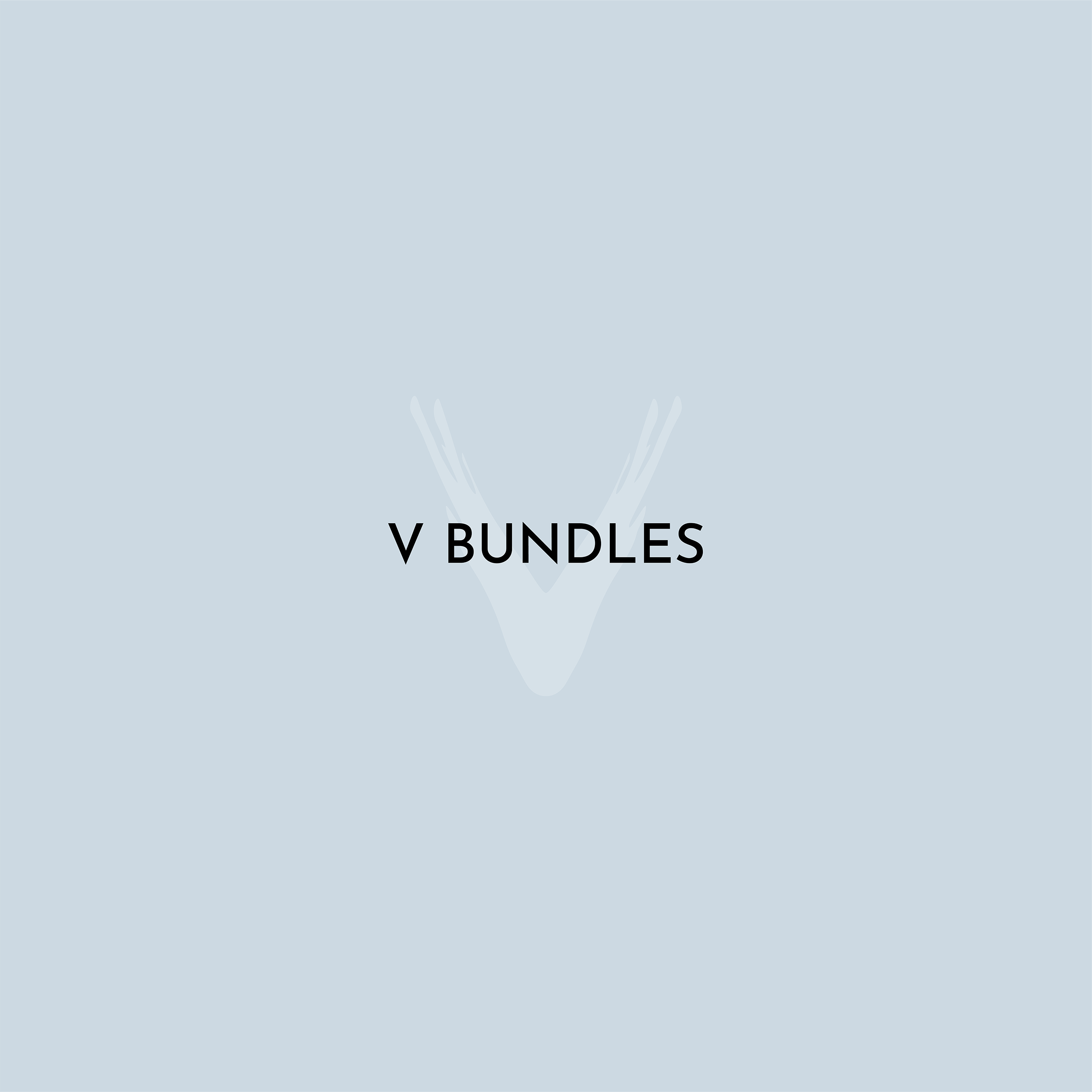 V Bundles