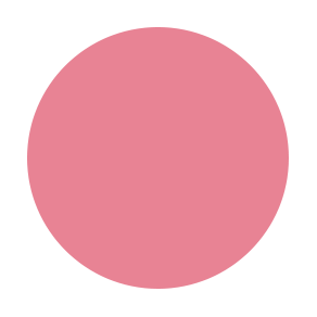 Lightweight Powder Blush - MAGNOLIA Secondary image