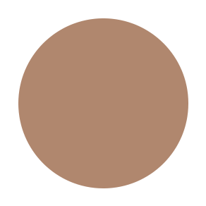 Face Primer for Matte Finish - TINTED