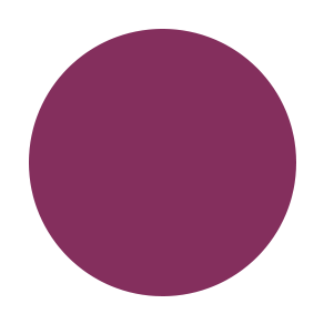 Hypo-allergenic Lip Liner - RAISIN Secondary image
