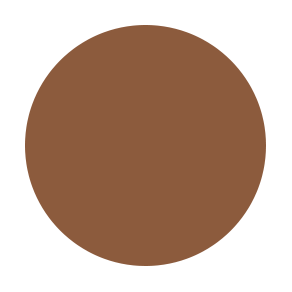 Translucent Pressed Powder - N10 COOL NEUTRAL Secondary image