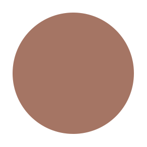 Translucent Pressed Powder - N85 COOL NEUTRAL Secondary image