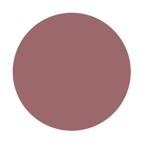 Intense Shine Lip Lacquer - SACHA Secondary image