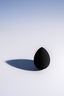 Beauty Sponge